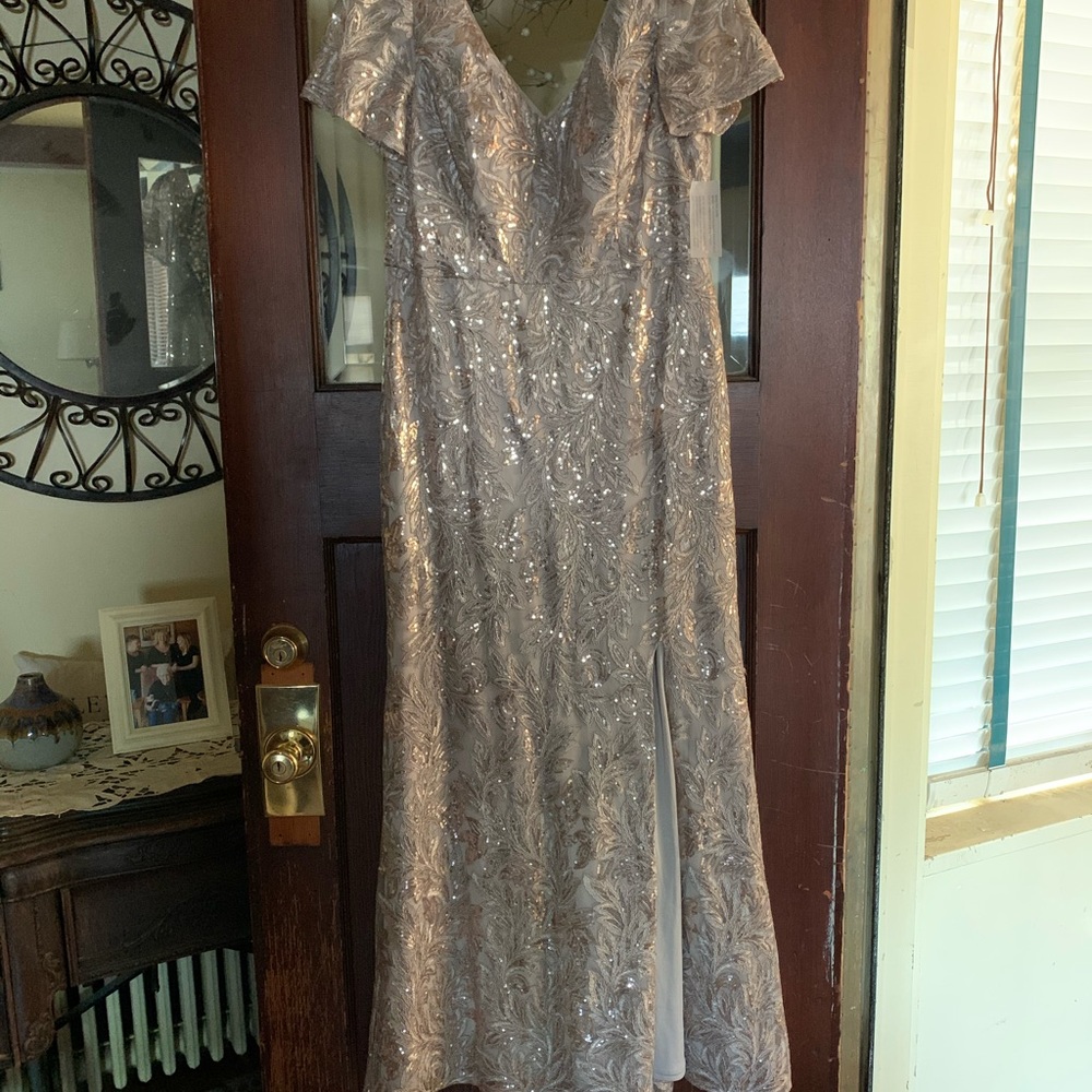 Brand new mother of the bride dress in champagne